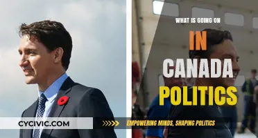 Exploring the Current Landscape of Canadian Politics: Key Issues and Developments