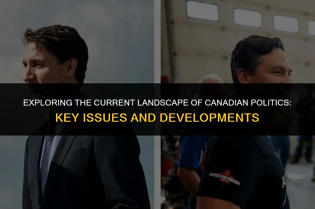 what is going on in canada politics