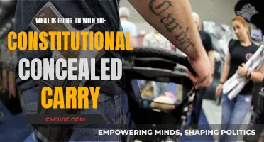 Concealed Carry: Constitutional Confusion and the Right to Bear Arms