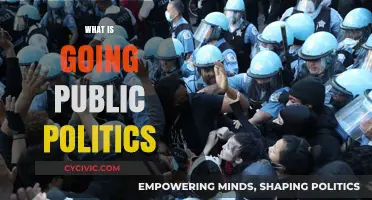 Understanding Going Public Politics: Strategies, Impact, and Public Engagement