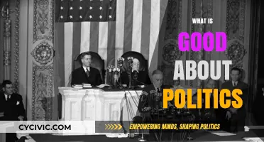 The Positive Side of Politics: Progress, Unity, and Civic Engagement