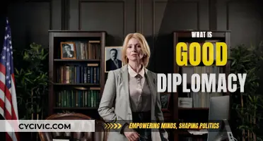 Diplomacy: Effective Strategies for Global Peace and Progress