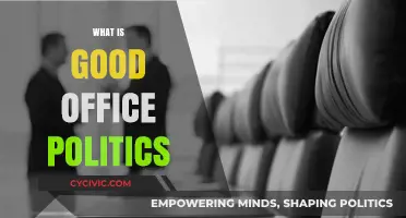 Mastering Good Office Politics: Strategies for Success and Collaboration