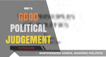 Understanding Good Political Judgement: Key Principles and Practical Insights