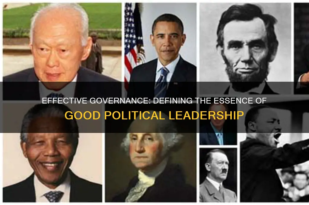 what is good political leadership