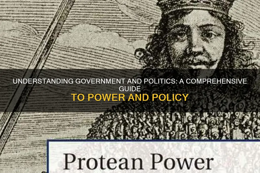 what is government and politic