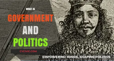 Understanding Government and Politics: Power, Policies, and Public Influence