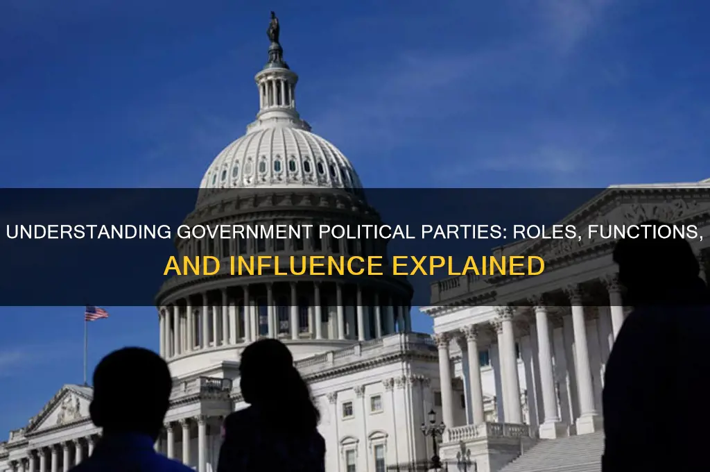 what is government political party