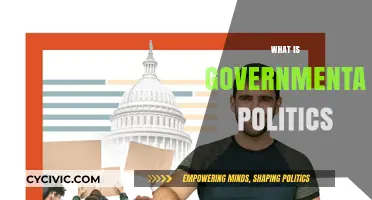 Understanding Governmental Politics: Power, Policies, and Public Influence Explained