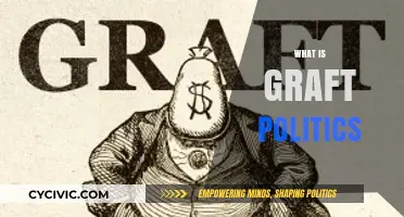 Understanding Graft Politics: Corruption, Power, and Illicit Practices Explained