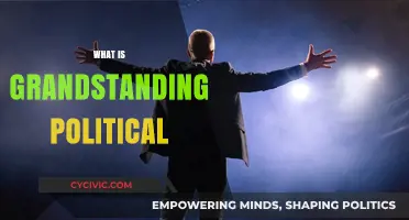 Understanding Grandstanding Politics: Tactics, Impact, and Public Perception