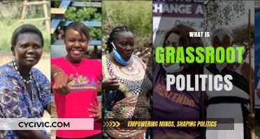 Understanding Grassroot Politics: Empowering Local Communities for Political Change