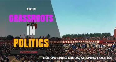 Understanding Grassroots Politics: Power, People, and Local Movements Explained