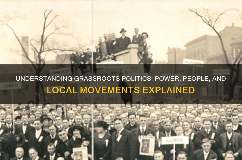 what is grassroots in politics