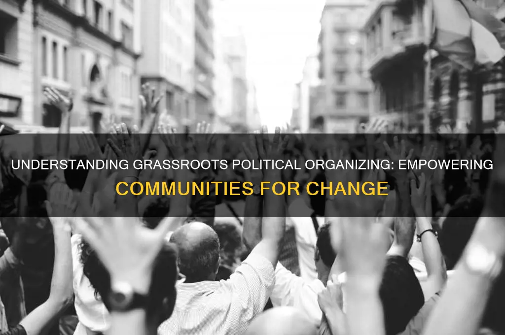 what is grassroots political organizatin