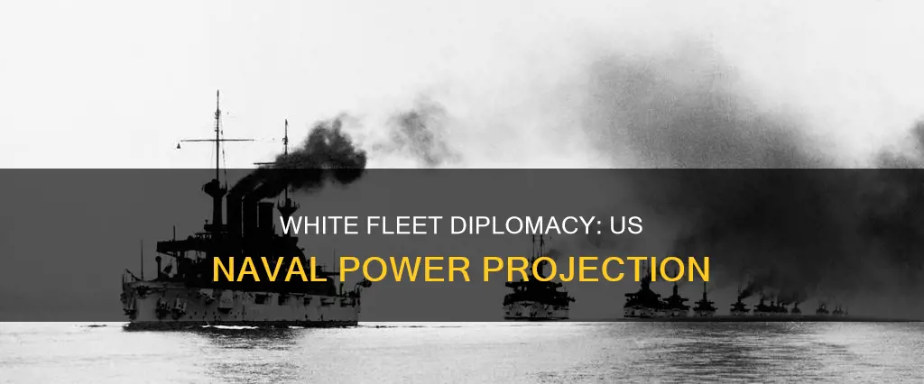 what is great white fleet diplomacy