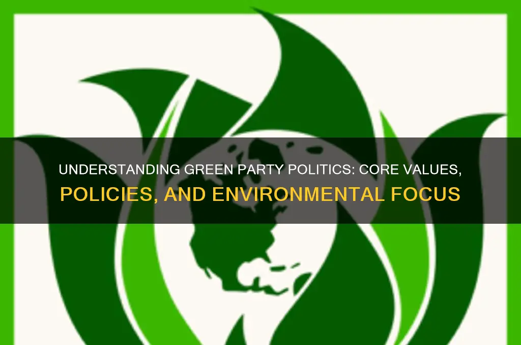 what is green party political views