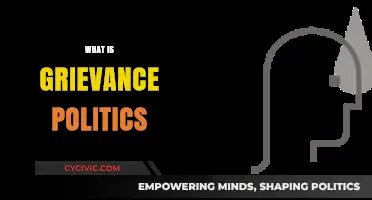 Understanding Grievance Politics: Causes, Impact, and Societal Implications Explained