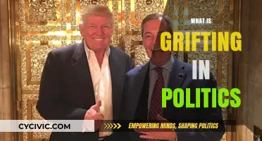 Grifting in Politics: Unmasking Deception and Manipulation in Public Office