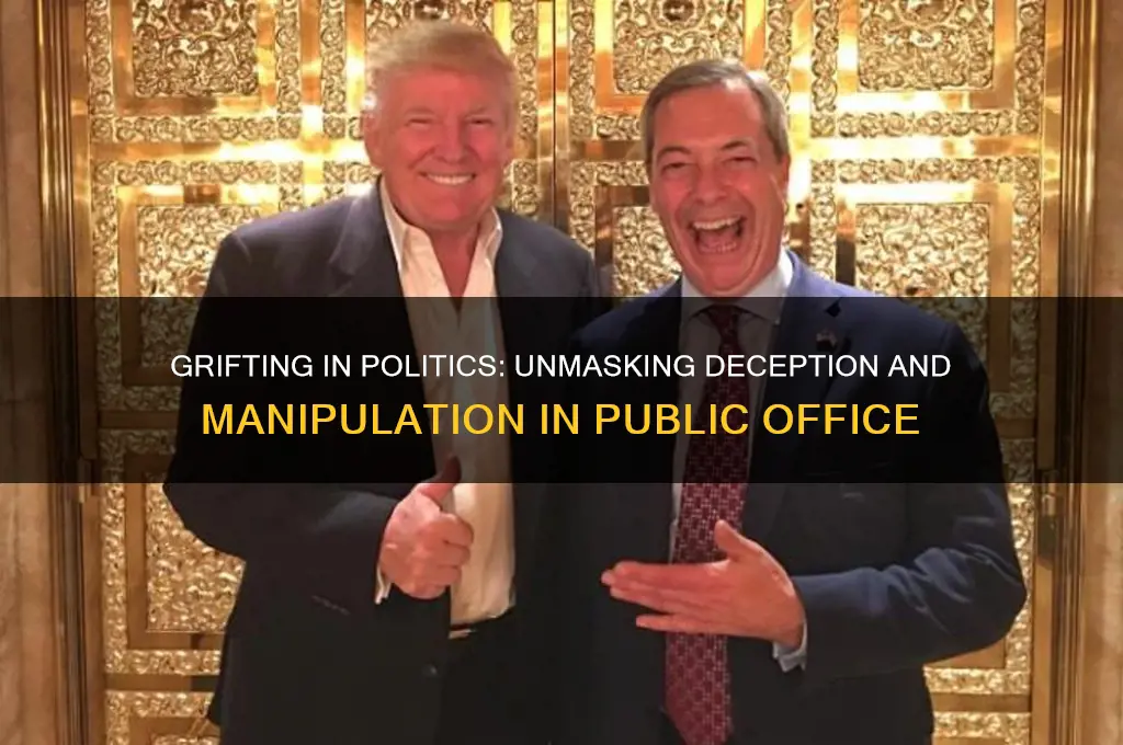 what is grifting in politics