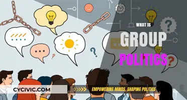 Understanding Group Politics: Dynamics, Influence, and Collective Decision-Making Explained