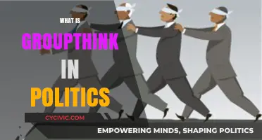 Understanding Groupthink: How Political Conformity Shapes Decision-Making