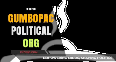 Understanding GumboPAC: A Deep Dive into the Political Organization
