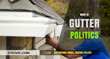 Understanding Gutter Politics: Tactics, Impact, and Consequences Explained