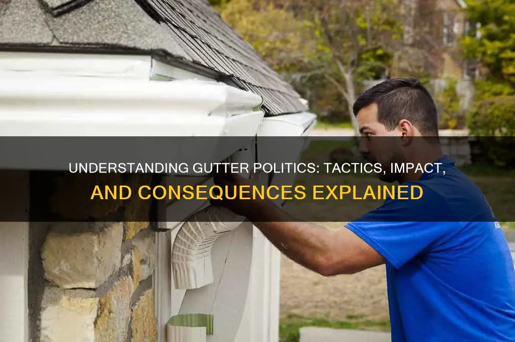 what is gutter politics