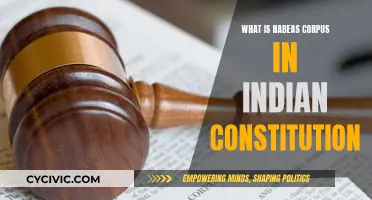 Habeas Corpus: An Indian Constitutional Right Explained