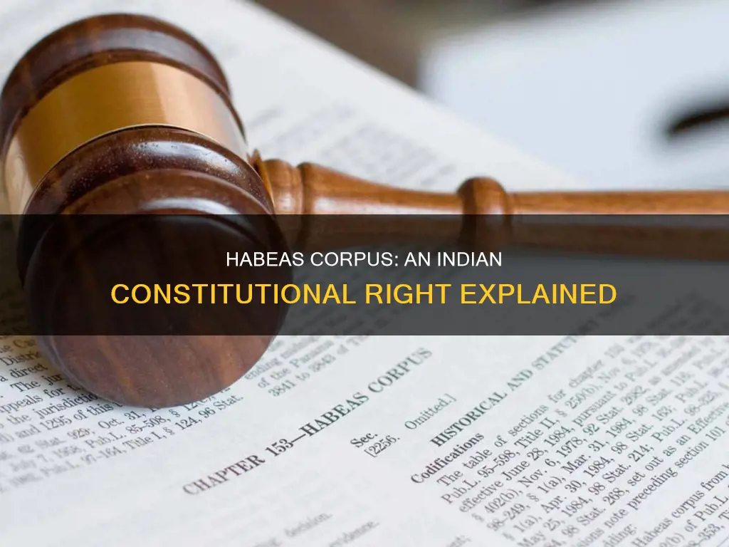 what is habeas corpus in indian constitution