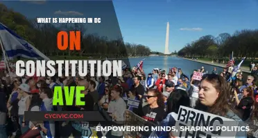 Exploring DC's Constitution Ave: Events and Attractions