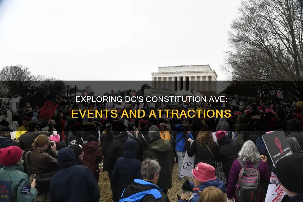 what is happening in dc on constitution ave