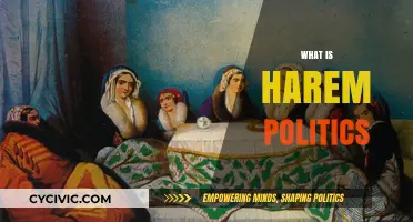 Understanding Harem Politics: Intrigue, Power, and Influence in Royal Courts