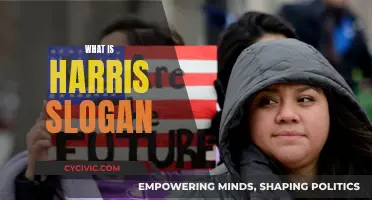 Harris' Slogan: Uniting America Under a Progressive Vision