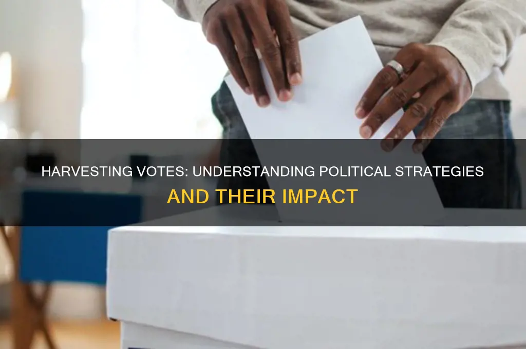 what is harvesting in politics