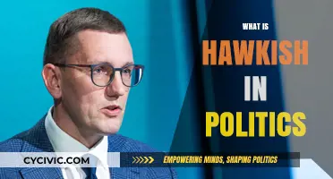 Understanding Hawkish Politics: Aggressive Foreign Policy Explained