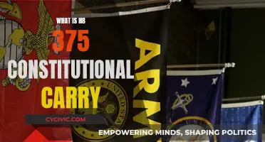 Understanding HB 375: Constitutional Carry and Its Implications