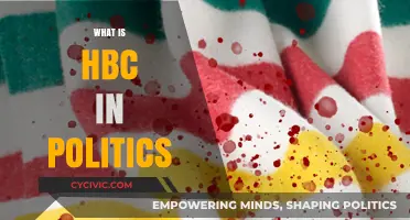 Understanding HBC: Its Role and Impact in Modern Politics