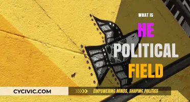 Understanding the Political Field: Dynamics, Players, and Influence Explained