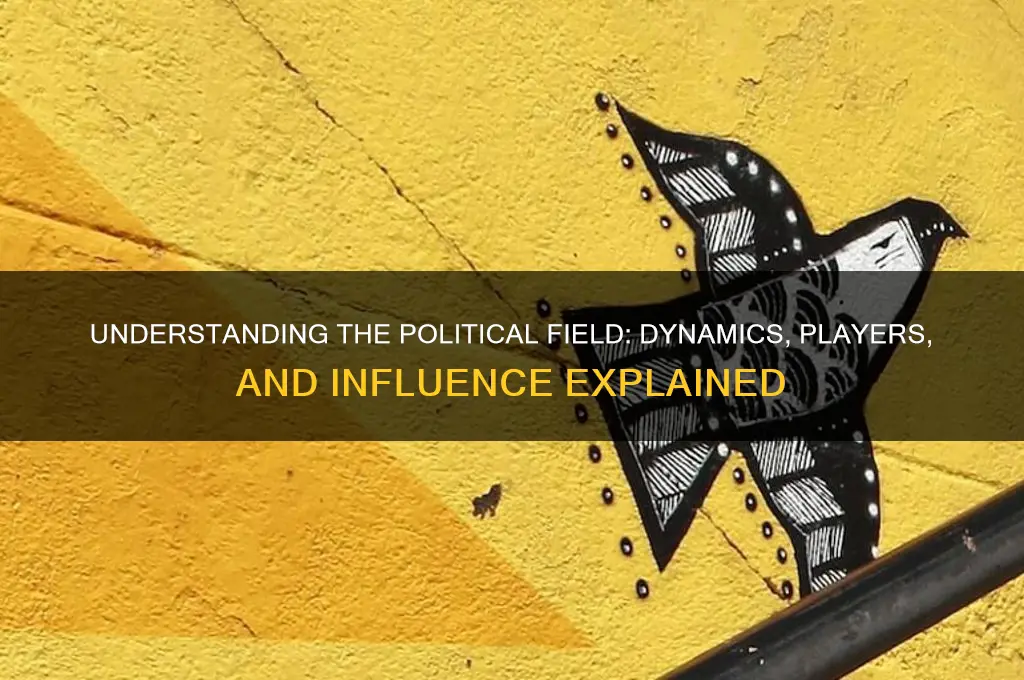 what is he political field