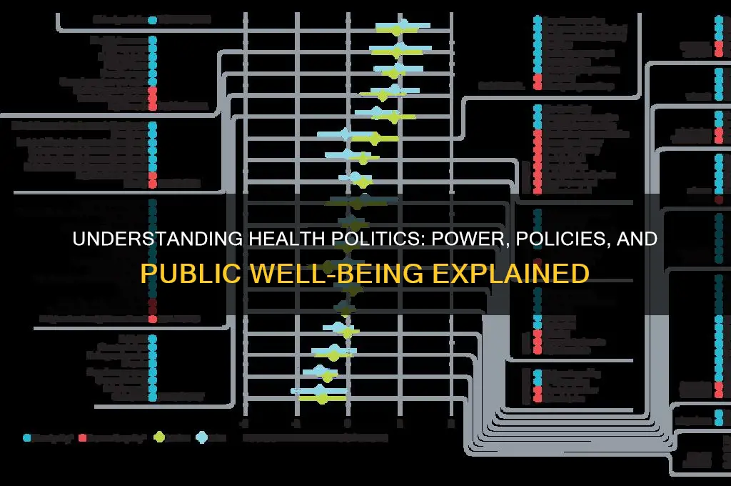 what is health politics