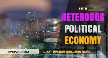 Understanding Heterodox Political Economy: Alternative Perspectives on Power and Markets