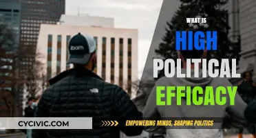 Understanding High Political Efficacy: Empowering Citizens in Democracy