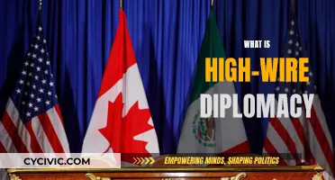 High-Wire Diplomacy: Balancing Acts in Foreign Affairs