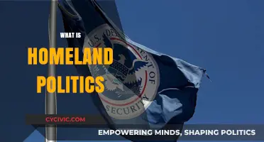 Understanding Homeland Politics: Identity, Power, and National Governance Explained