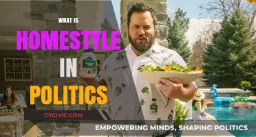 Homestyle Politics: Understanding Local Charm in Political Campaigns