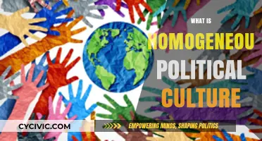 Understanding Homogeneous Political Culture: Unity, Identity, and Governance Explained
