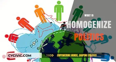 Understanding Homogenized Politics: Causes, Effects, and Global Implications