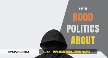 Understanding Hood Politics: Power, Community, and Survival in Urban Spaces